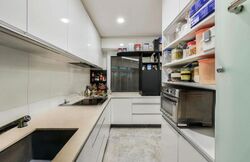 Crystal Rhu (D15), Apartment #569487121